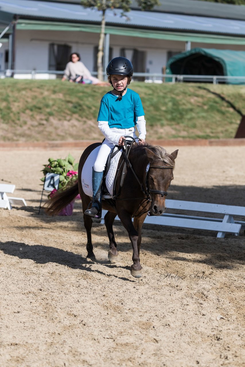 Bild 54 - Pony Akademie Turnier